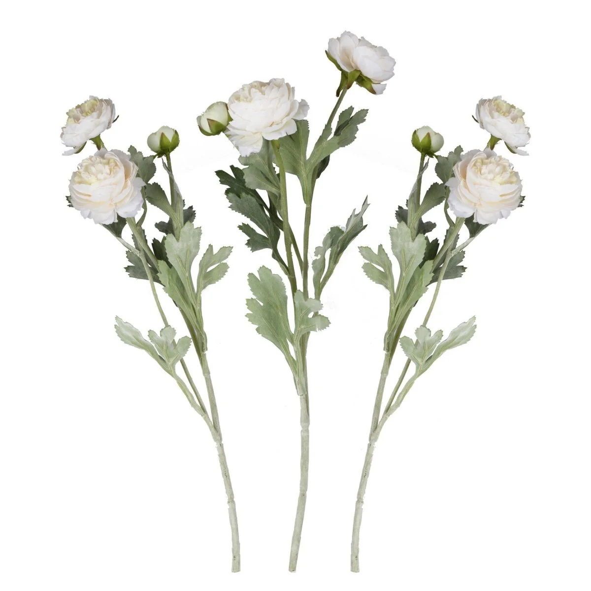Miniatuur 2