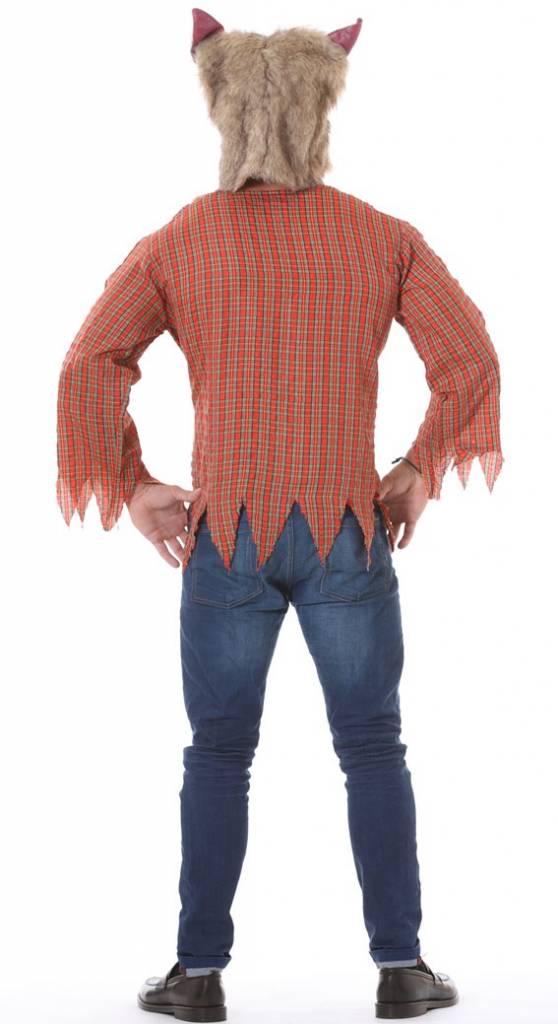 Miniatuur 2