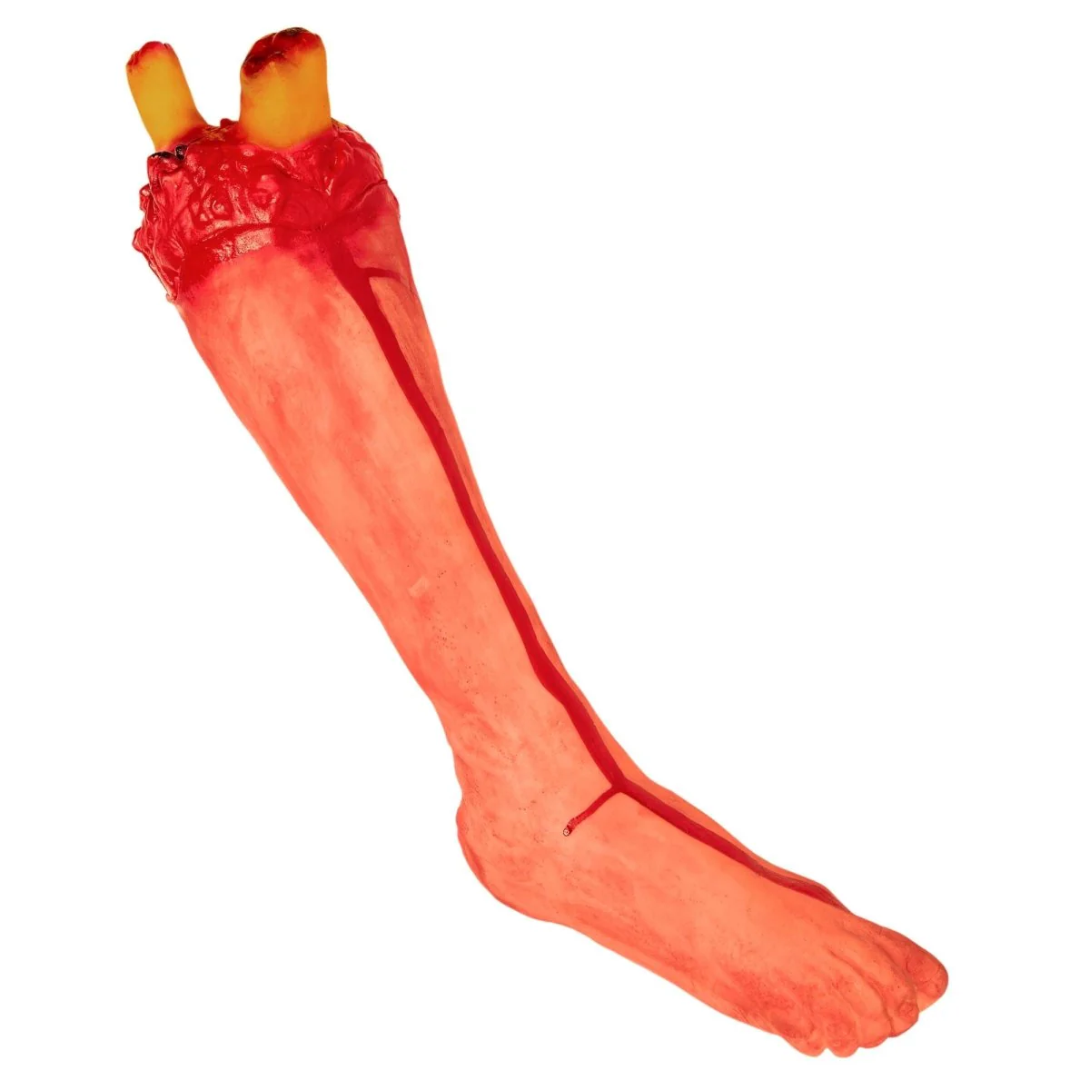 Miniatuur 1